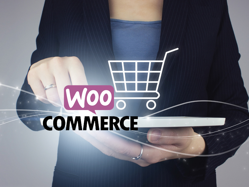 Cómo Integrar el Módulo de Envíos con tu eCommerce de WooCommerce